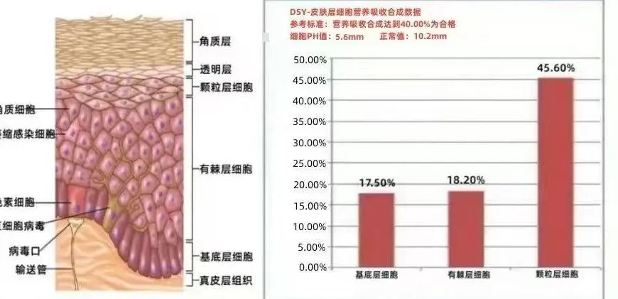 骗子发来的检测报告，看着很专业的数据图